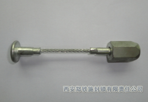 FSJ04-2 鐵路集裝箱施封鎖